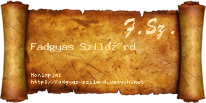Fadgyas Szilárd névjegykártya